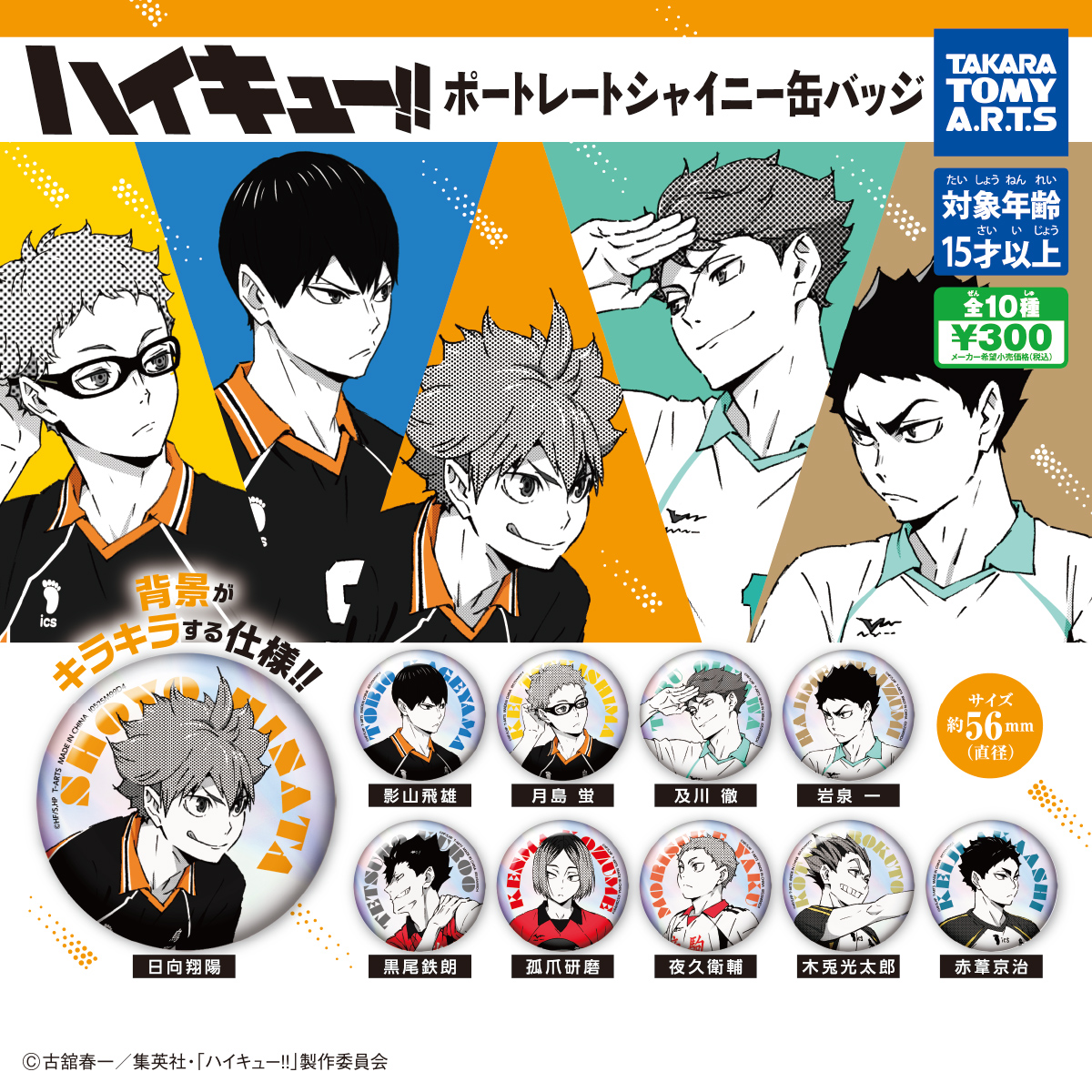 予約・購入】ハイキュー!! ポートレートシャイニー缶バッジ /設置場所