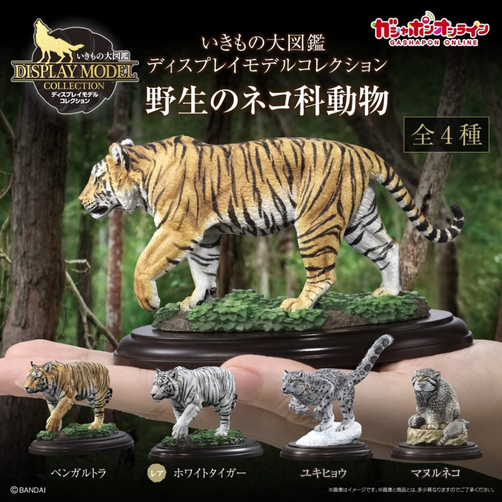 いきもの大図鑑ディスプレイモデルコレクション 野生のネコ科動物