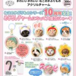 かわいい かわいい ねこのかぶりもの アクリルチャーム