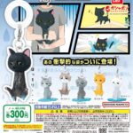 しょんぼり猫 めじるしアクセサリー ～救出物語～