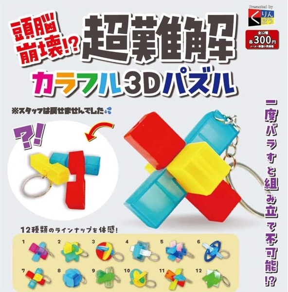 頭脳崩壊！？超難解カラフル3Dパズル