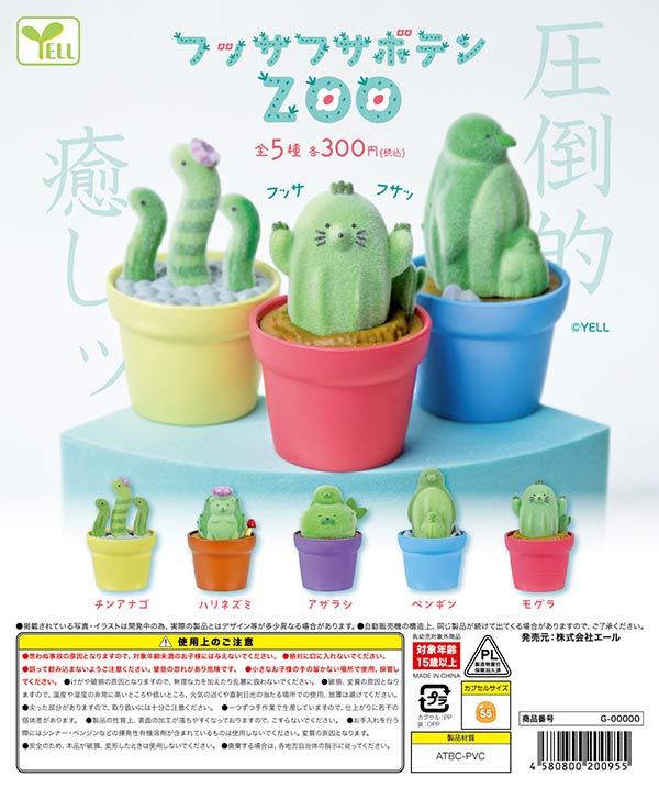 フッサフサボテンZOO