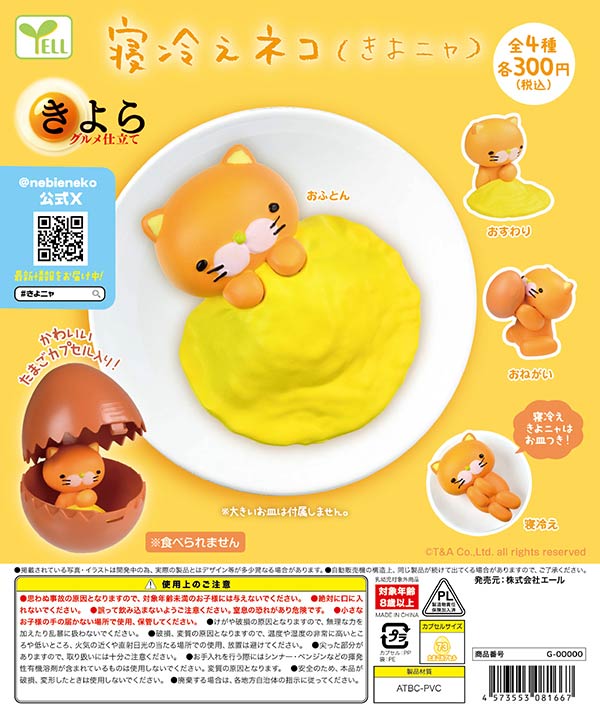 寝冷えネコ きよニャ