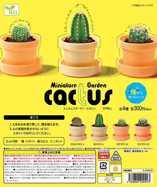 ミニチュアガーデン～サボテン～