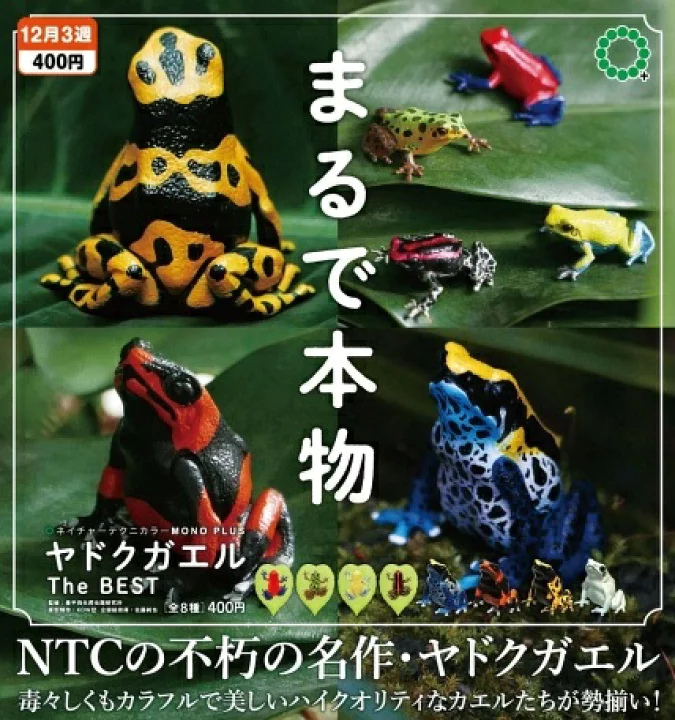 NTC MONO＋ ヤドクガエル The BEST（再販）