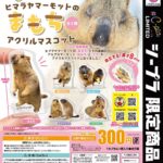 ヒマラヤマーモットのまもち アクリルマスコット
