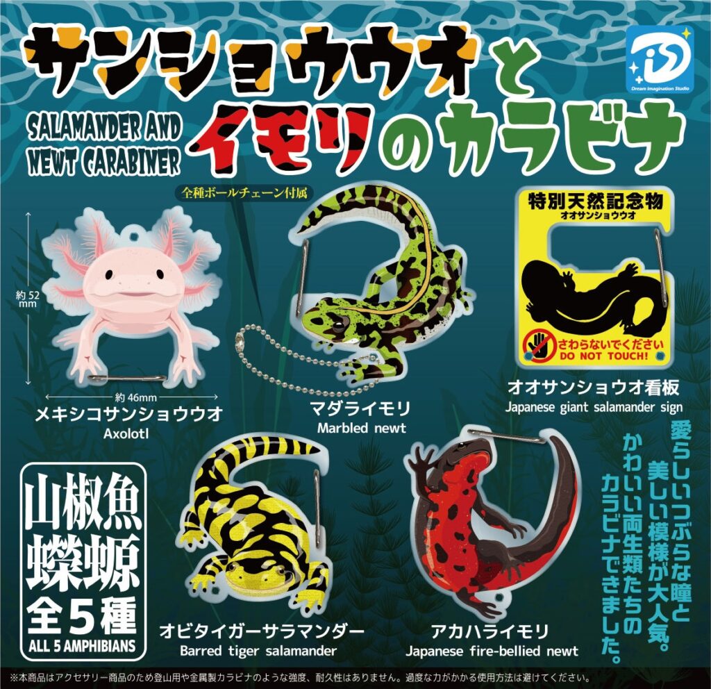 サンショウウオとイモリのカラビナ