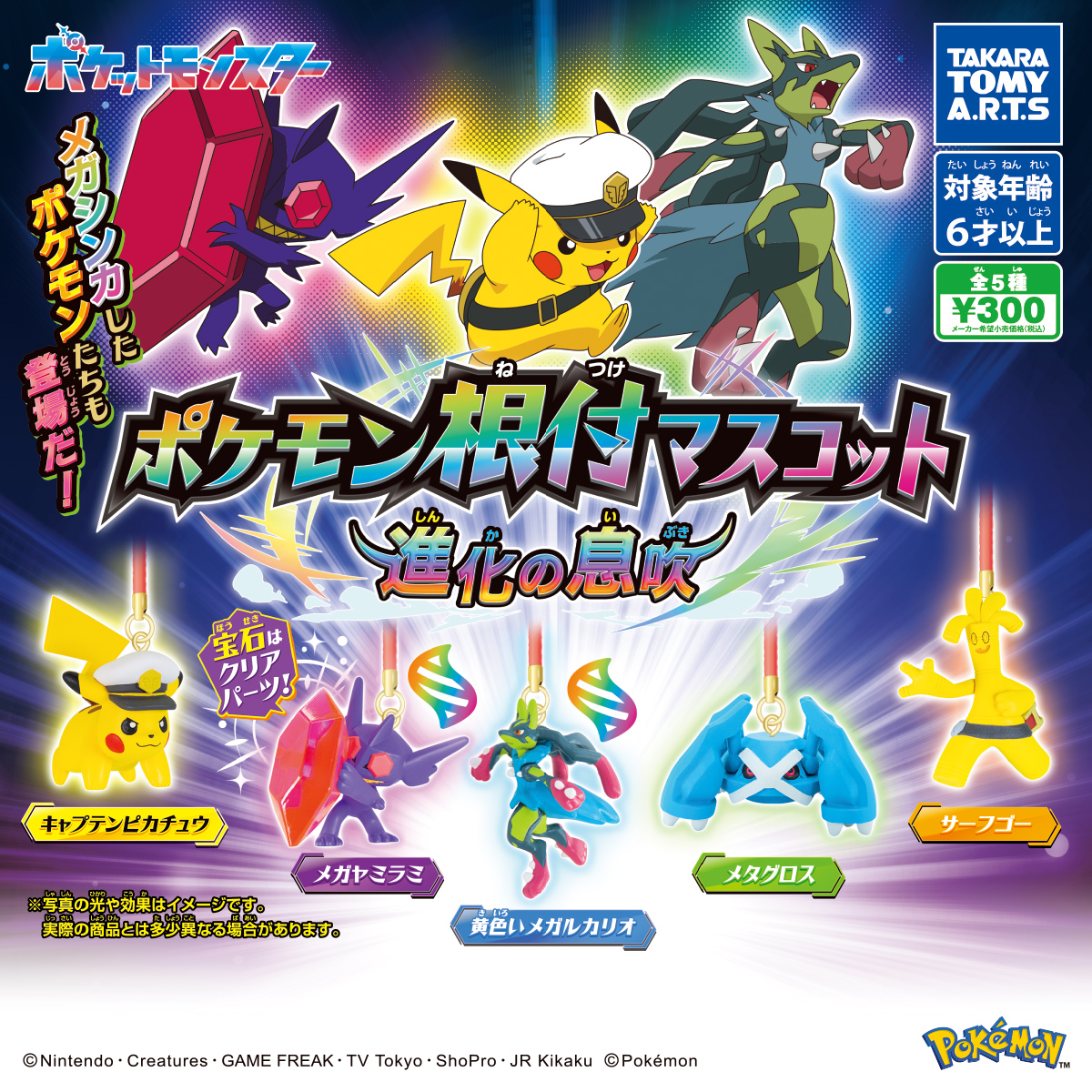 予約・購入】ポケモン根付マスコット 進化の息吹 /設置場所
