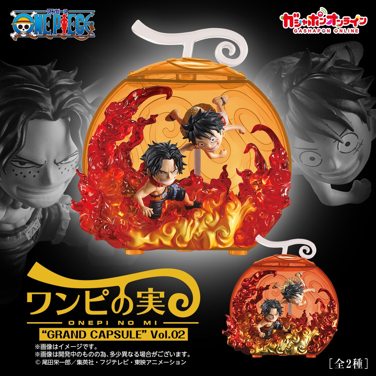 予約・購入】From TV animation ONE PIECE ワンピの実 “GRAND CAPSULE
