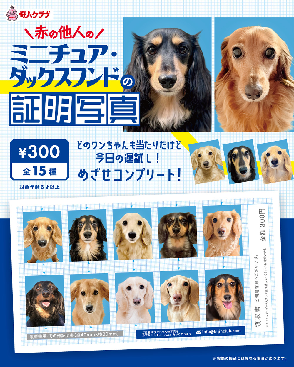 予約・購入】赤の他人のミニチュア・ダックスフンドの証明写真 /設置