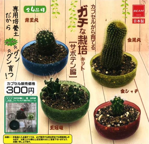 カプセルから育てる ガチな栽培キット サボテン編