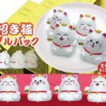 招き猫プルバック