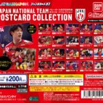 バレーボール男子日本代表 ポストカードコレクション