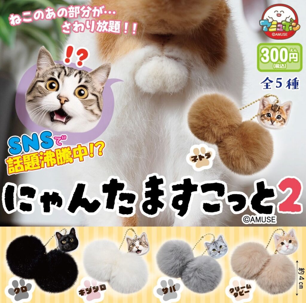 にゃんたますこっと２