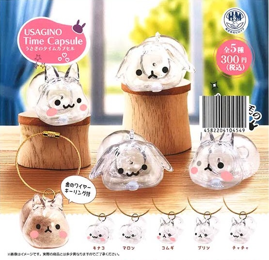 うさぎのタイムカプセル