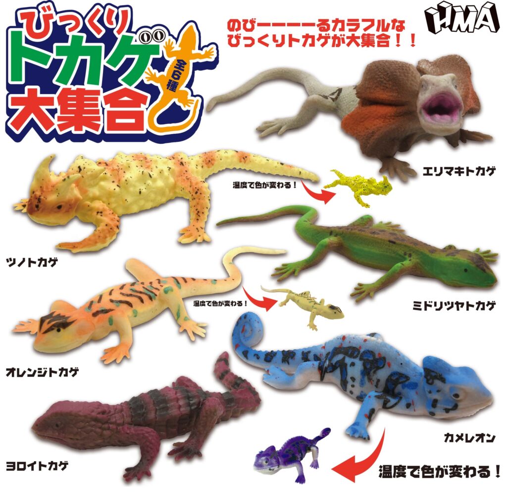 びっくりトカゲ大集合