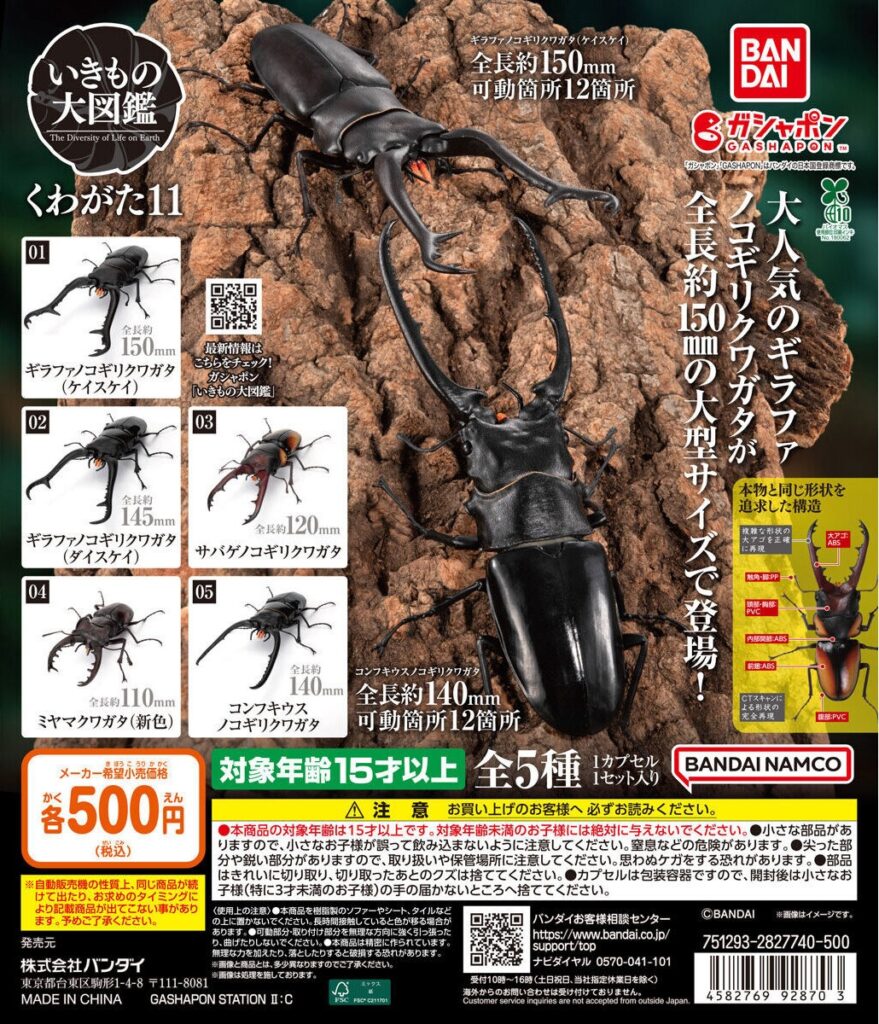 いきもの大図鑑 くわがた11