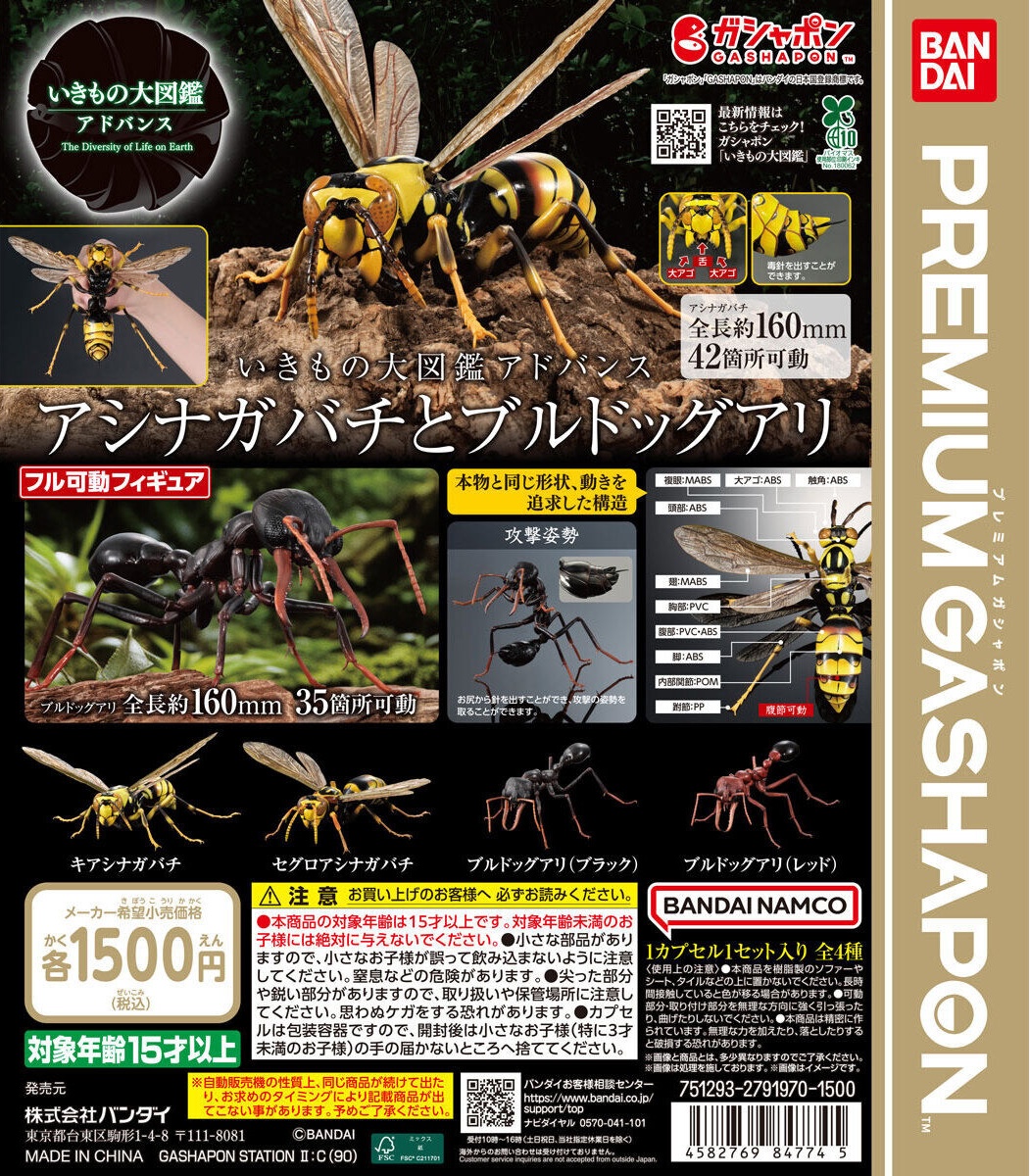 予約・購入】いきもの大図鑑アドバンス アシナガバチとブルドックアリ