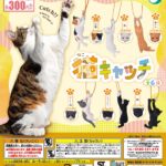 猫キャッチ