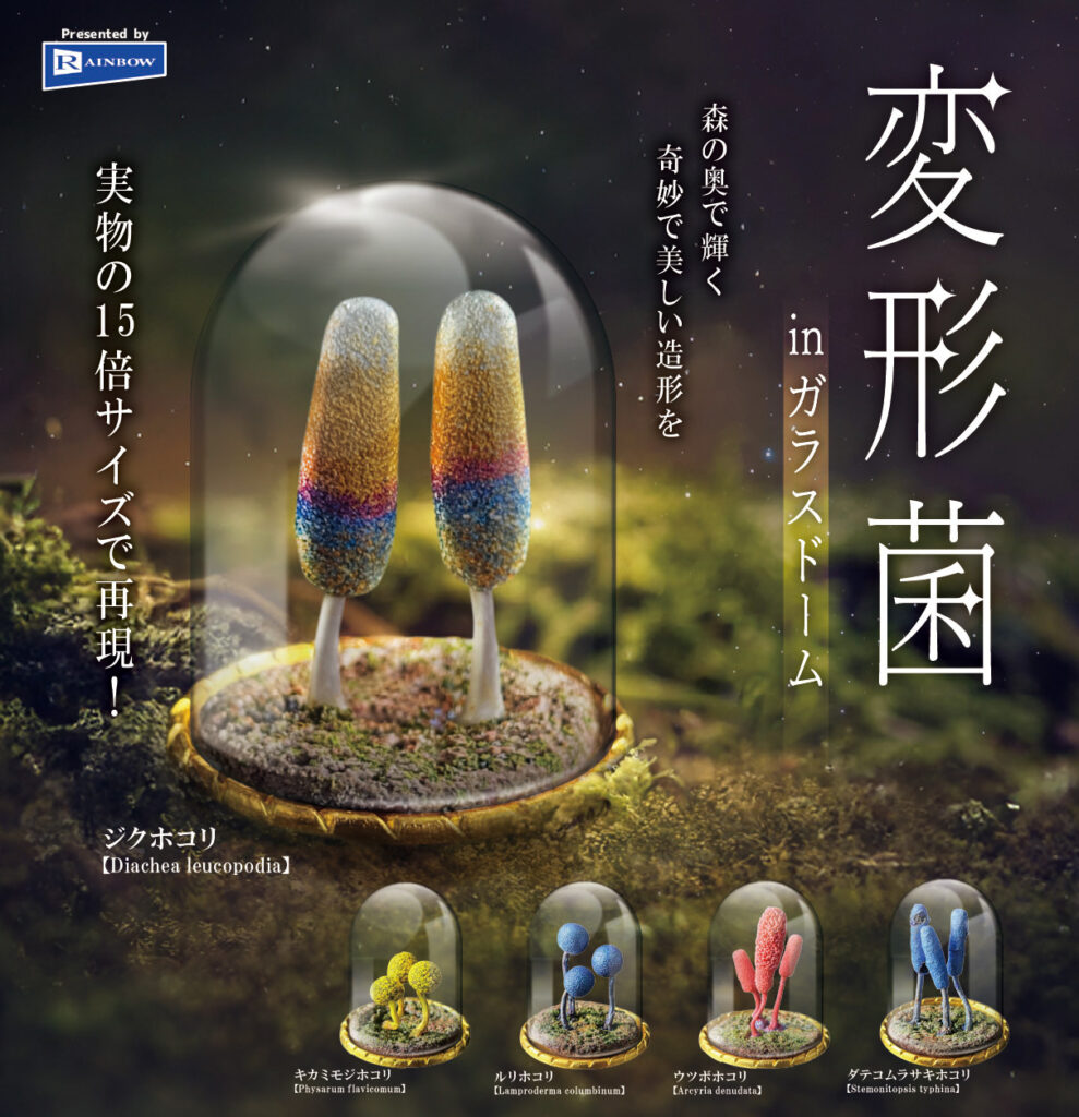 変形菌 in ガラスドーム