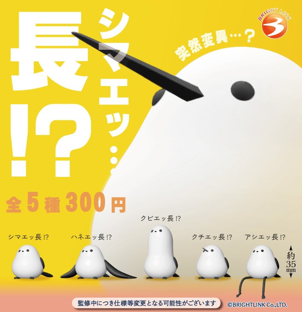 シマエッ…長！？