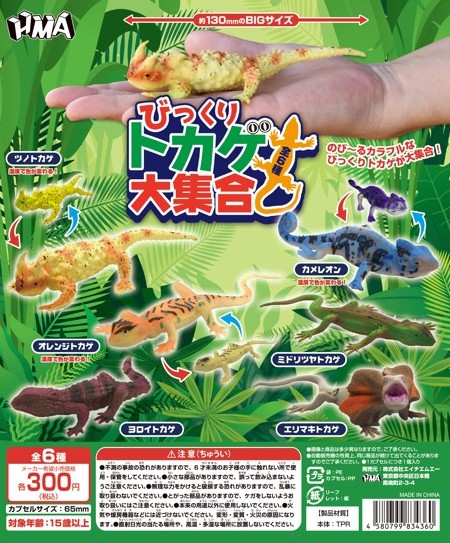 びっくりトカゲ大集合