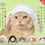 かわいい かわいい ねこうさぎちゃん～たれみみ～