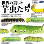 世界の美しき芋虫たち