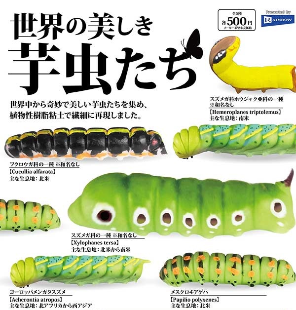 世界の美しき芋虫たち