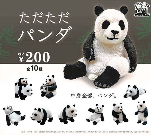 ただただパンダ