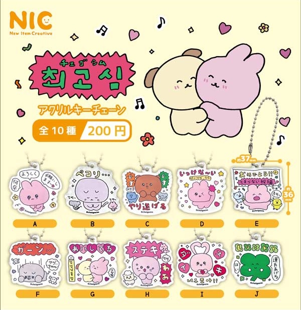 チェゴシム アクリルキーチェーン