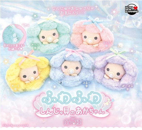 ふわふわしんじゅ貝のあかちゃん