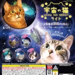 宇宙の猫ライト（再販）