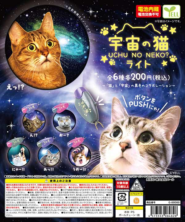 宇宙の猫ライト（再販）