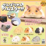 がんばりやん ハムスター！！