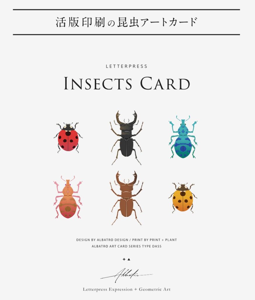 活版印刷の立体アートカード INSECTS CARD