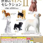 世界の名犬セレクションⅡ