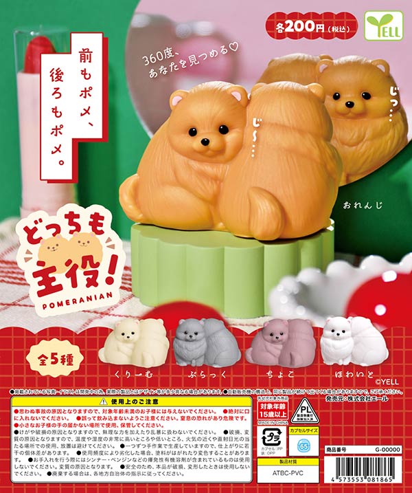 どっちも主役！ポメラニアン