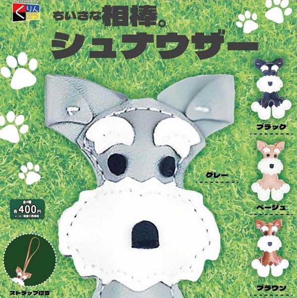 ちいさな相棒。シュナウザー