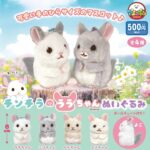 チンチラのララちゃん ぬいぐるみ
