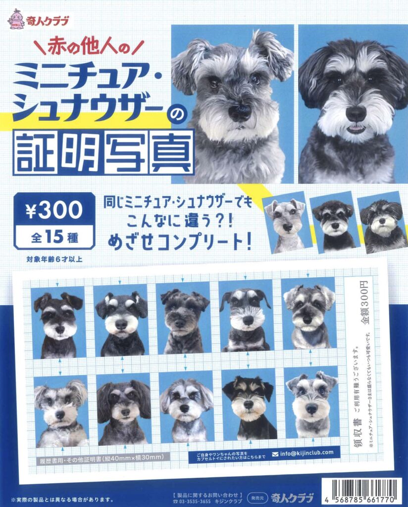 赤の他人のミニチュアシュナウザーの証明写真