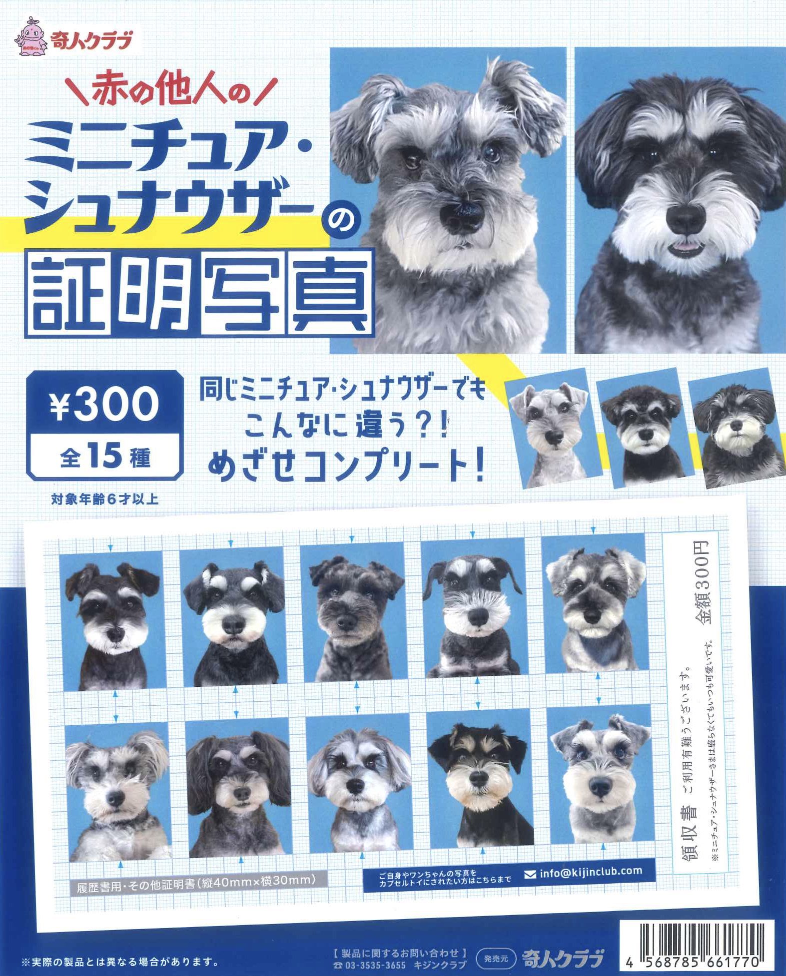 予約・購入】赤の他人のミニチュアシュナウザーの証明写真 /設置場所