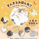 まんまるお寝んねこ コーム＆ミラーコレクション