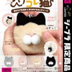 ひげコレ猫
