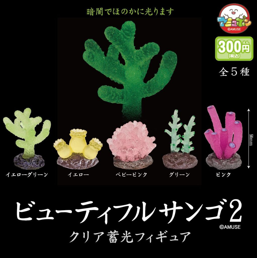 ビューティフルサンゴ２