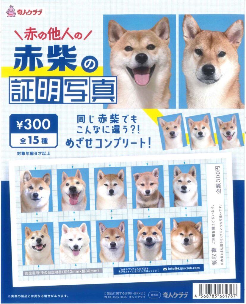 赤の他人の赤柴の証明写真