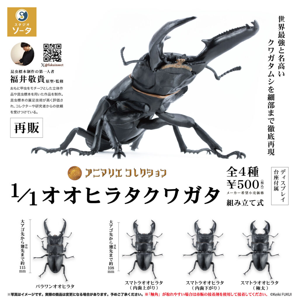 アニマリエコレクション 1/1オオヒラタクワガタ（再販）
