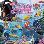 海洋生物キーホルダー