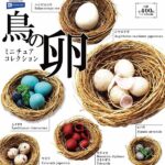 鳥の卵 ミニチュアコレクション