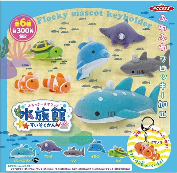 ふろっきーますこっと 水族館